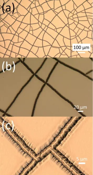 Fig. 6: Zoom images of the cracking taken using the optical microscope. (a) ×200 magnification/pixel size = 1.06 µm, (b) ×1000 magnification/pixel size