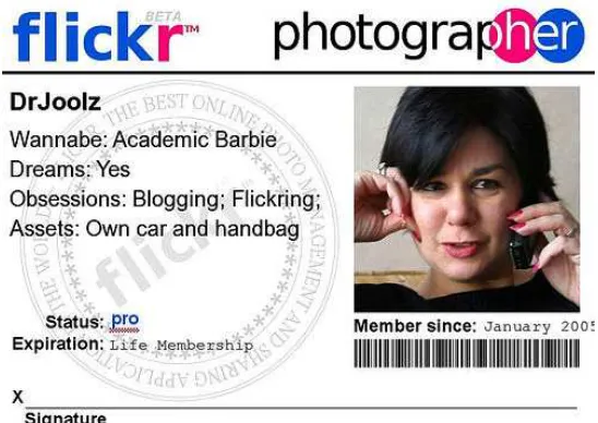 Figure Eleven:  The author’s Flickr ‘badge’ 
