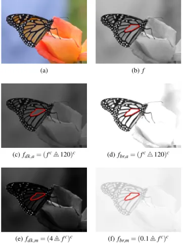 Fig. 1. (a) Colour image of a butterfly and (b) its luminance image f with a region R in red