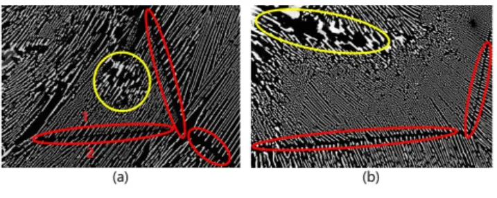 Fig. 1. (a) and (b) are two images about HfB 2 -B 4 C ceramics. In the two images, the white microstructural elements are divided by the black straight gaps which are marked in red ellipses, and form the discrete regions