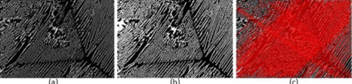 Fig. 2. (a) The original image; (b) the result of the binarization; (c) the detected lines with the Hough transform method.