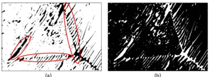 Fig. 3. (a) is the dilation result of Fig. 2(b), and the remained gaps are marked in red ellipses