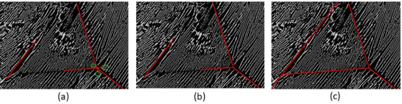 Fig. 7. The results of boundaries processing. (a) The result of boundaries filtering: the red line segments marked by green circles are the redundant threads