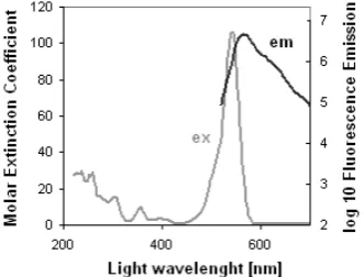 Fig. 2 setup for parallel investigation of temperature field and flow field variation in time