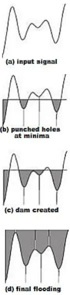 Figure 4(b): Input image 