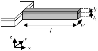 Fig. 1. Schematic illustration of the basic cantilever structure. The cantileverlength is l, width w and thickness iscoating the beam has thickness t