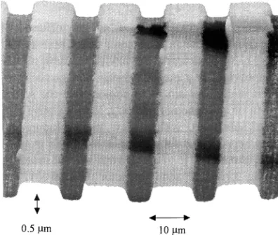 Fig. 3. An AFM image of etched amorphous FeSiBC wires with nominal sep-aration 5 �m, wire width 10 �m and thickness 0.3 �m on a Corning 7059 glasssubstrate (after [17]).