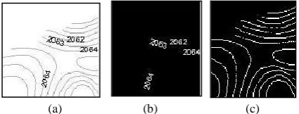 Figure 1: (a) Topographic Sheet (b) Segmented text (c) segmented contour (broken) 