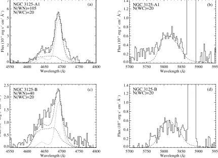 Figure 6. Comparison between the slit loss corrected, dereddened [solid line) with a 2.0ETOT(B − V ) = 0.08(GAL) + 0.16(SMC)] HST/STIS spectrum of A1 (the faint × 105 M⊙ SB99 synthetic spectrum obtained usingLMC/SMC template OB stars for 1250–1600 Å (the s