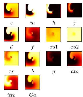 Figure 2: A snapshot of re-entry in a 2Dmodel with excitation described by the 4variable Fenton Karma model [4]