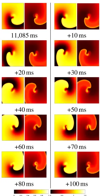 Figure 11: The visualization of the deviationfrom the model of normal propagation forre-entrant behaviour in the Luo Rudy 2 sim-ulation