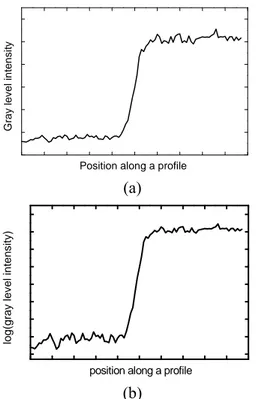 Fig. 8. Horizontal profiles of a phantom image before  (a) and after (b) taking logarithms of gray values
