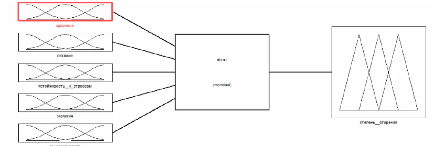 Fig. 6. General view of the fuzzy inference system. Translation of elements: здоровье - health; питание -  nutrition; устойчивость к стрессам - resistance to stress; экология - environment; самореализация -  self-realization; obraz - image; степень старени