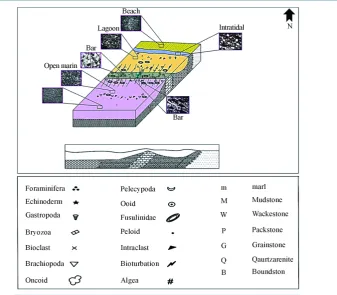 Figure 9. Depositional environment model of Chili Formation in Darin section. 