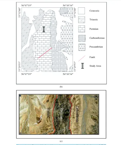 Figure 2. Microfacies of beach environment: Quartzarenite.                                                       