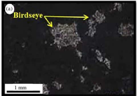 Figure 3.  Intertidal sub-environment microfacies: a—mudstone with birdseye. 
