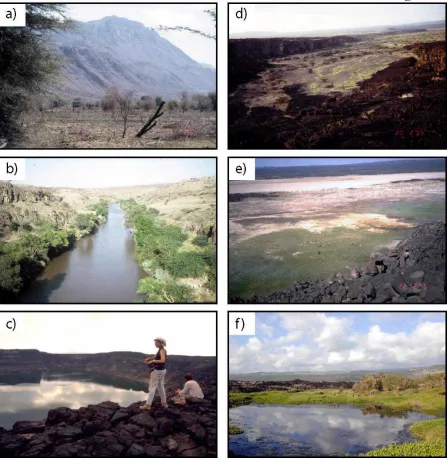 Figure 3. Features associated with active rifting. Figures 3(a) to (e) are from the Afar region of Ethiopia, Figure 3(f) from Hawaii