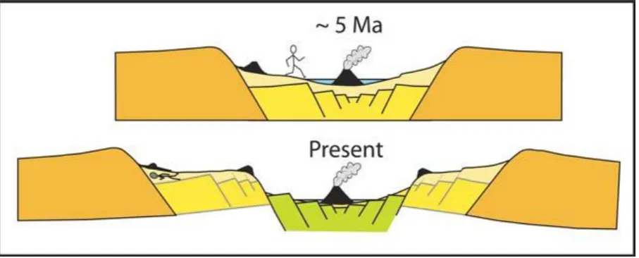 Figure 4. Change in the location of sites with progressive rifting. The environment where fossils were deposited in most African sites was in the bottom of the active rift (upper diagram)