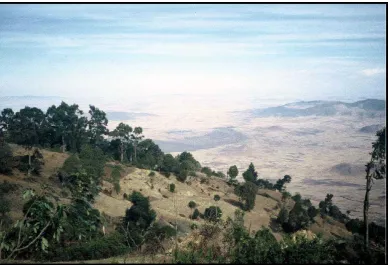 Figure 5. A view looking east into the Ethiopian Rift east of Addis Ababa. This area is now to the west of the active rift and is now almost inactive
