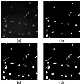 Fig. 2. Illustration showing the compromise between data term and smoothness term. (a) Original image