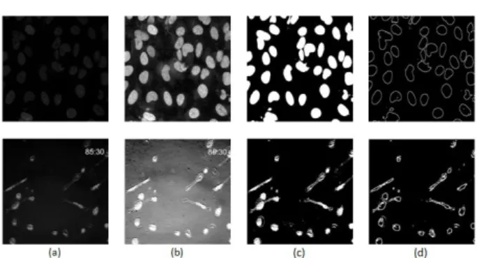 Fig. 5. Representation of an image in graph context.