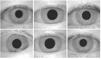 Figure 1: Sample of Iris Images 