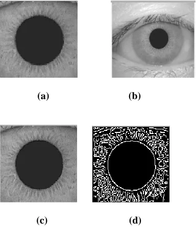 Figure 7: Simulation Time Taken for Iris recognition 