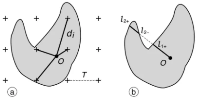 Fig. 7. (a) Illustration of the discretized nucleator, Eq. 41, (n = 4 distances are generated)