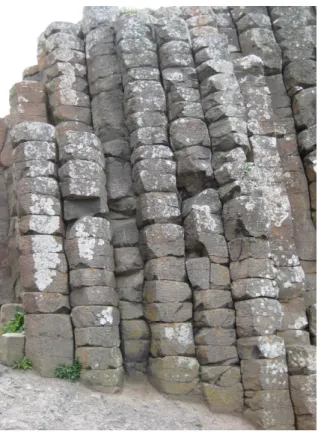Fig. 2. Viewed from above, examples of pentagonal and heptagonal basalt columns at the Giant’s Causeway.