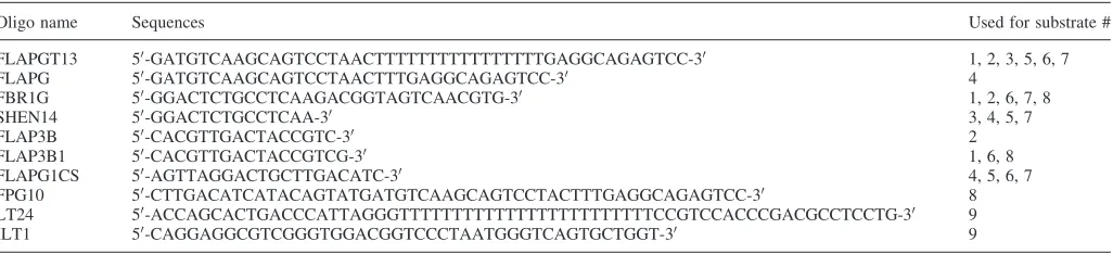 Table 1. Oligonucleotides used to build various DNA substrates