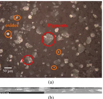 Fig. 1. Surface of the paint layer (a) (taken by optical microscopy on a raw surface of the paint), and its slice, orthogonal to the surface (b) (SEM image, taken in SE mode).