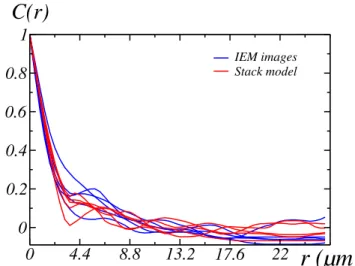 Fig. 15. Density of particles over lines parallel to the surface layer, as a function of the coordinate along the height e 2 : stack model (red), SEM image (blue).