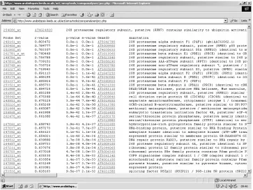 Figure 1. Screen shot of a typical ACT output showing co-expression of genes encoding sub-units of the proteasome