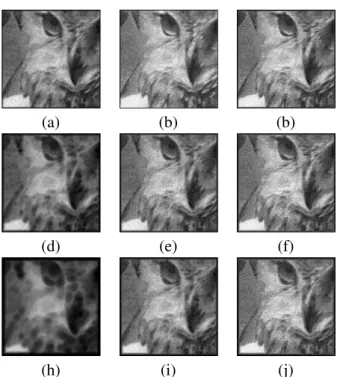 Fig. 11. Multiscale morphological operations performed on noisy Owl image given in Fig