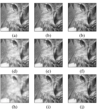 Fig. 8. Multiscale erosions of the noisy binary Cat image performed with the adaptive PDE of model Eq