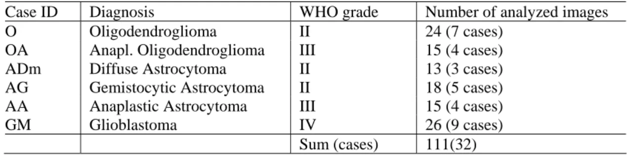 Table 1. A characterization of all cases analyzed. 