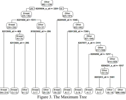 Figure 3. The Maximum Tree 