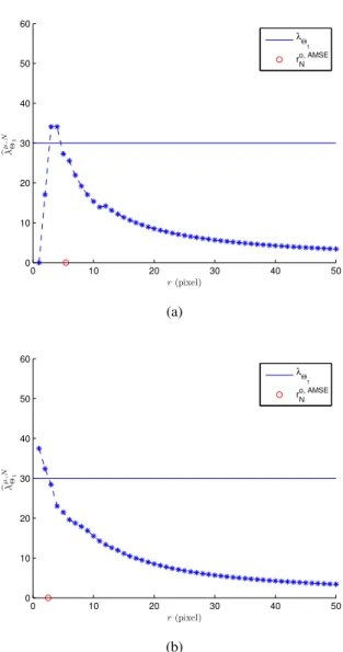 Fig. 6. Comparison of the “Minkowski content”-based estimator and the theoretical value (λ Θ 1 (0.5, 0.5) = 30) at the point (0.5, 0.5) for a homogeneous Boolean model of segments with intensity f (x 1 , x 2 ) = 300