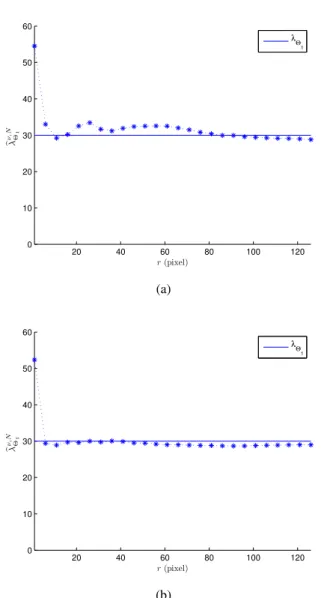 Fig. 5. Comparison between the natural estimation and the theoretical value at the point (0.5, 0.5) for a homogeneous Boolean model of segments with intensity f (x 1 , x 2 ) = 300