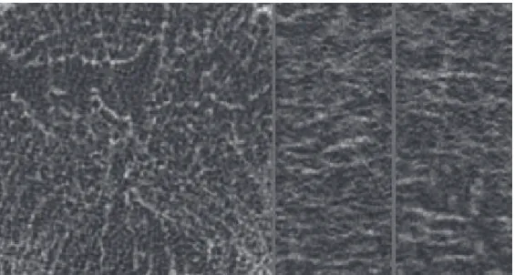Fig. 1. Three perpendicular sections of a 3D CT image of a vertebral trabecular bone sample