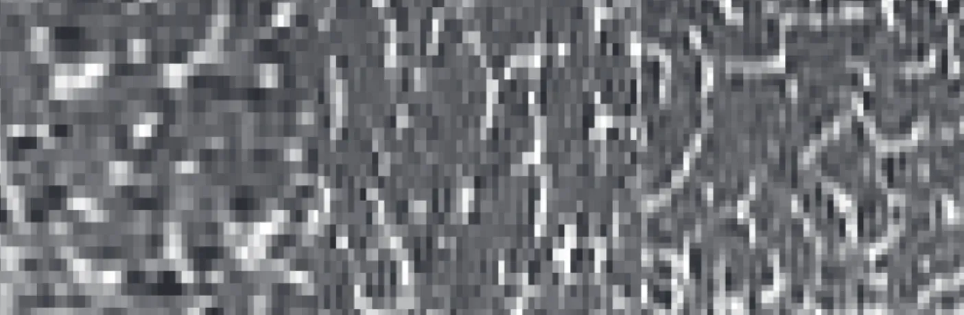 Fig. 2. Three perpendicular sections of a negative of a high resolution MRI image of a distal radius trabe-cular  bone sample