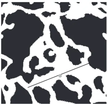 Fig. 3.  Measurement of the volume orientation in a  sample point (grey disk). 
