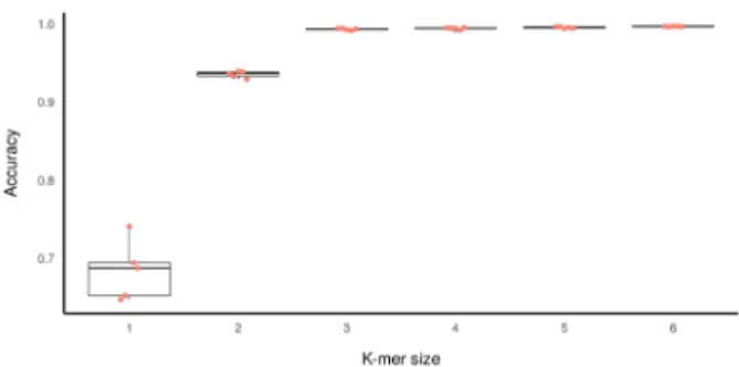 Figure 1. Boxplot of the 5-fold cross validation accuracy re- re-sults for the training of models of different k-mer feature sets  and corresponding neural network architectures on the training  data (Table 1)