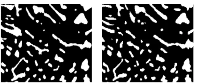 Fig. 3. One cut through the finite element mesh without coarsening (left) and the same cut through the level 8 finite element mesh (right).