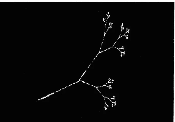 Figure 2.20.Three transformations defining a twig.