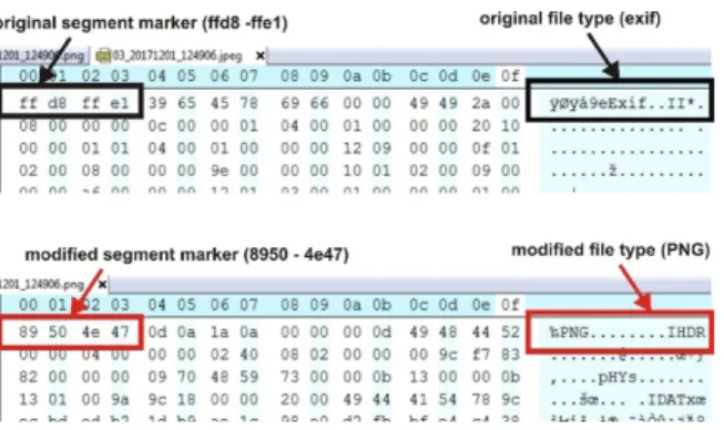 Figure 15. Example of text modification on the image file  (a).Original image (b).modified image