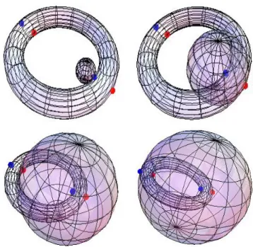 Fig. 1. Images that we see in the sweeping spheres S 2 (λ ) ∩ S, where S is a fixed torus and the growing spheres S 2 (λ ) have a fixed center O