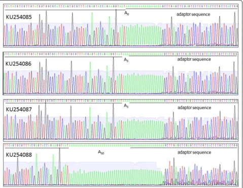 Table 1 Nucleotide identity (%) among 3′ UTR of different WYMV RNA1