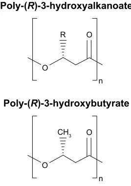 Figure 3 Structure of poly-(R)-hydroxybutyrate (polyhydroxyalkanoate, PHA).