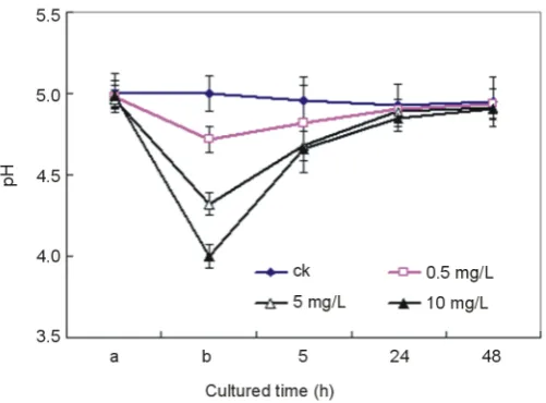 Figure 3. Effect of Ce4+ on membrane lipid peroxidation as reflected by the accumulation of malonyl dialdehyde (MDA) in the seedling hydroponic cultures of rice